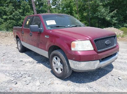 FORD F-150 2004 1FTRW12W44KD17318
