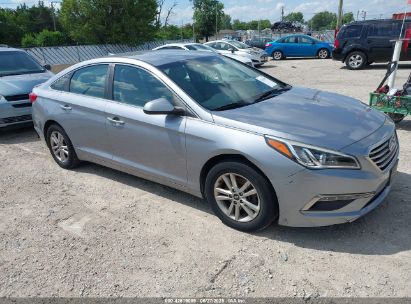 HYUNDAI SONATA 2015 5NPE24AF8FH131084