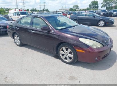 LEXUS ES 330 2005 JTHBA30G055117266