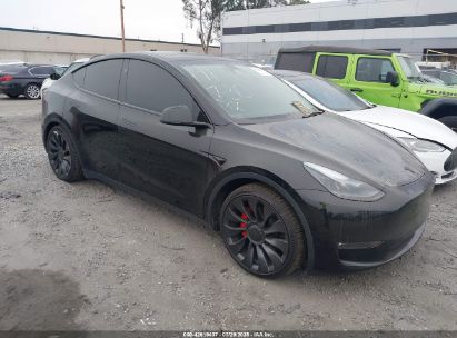 TESLA MODEL Y 2023 7SAYGDEF5PF823444