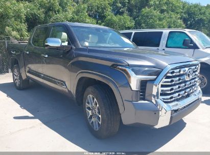 TOYOTA TUNDRA 2024 5TFMA5DBXRX142402