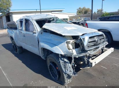 TOYOTA TACOMA 2010 5TEUU4EN5AZ706934
