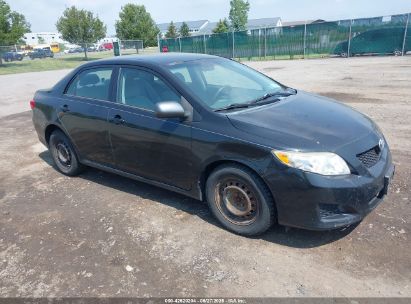 TOYOTA COROLLA 2010 2T1BU4EE6AC285500