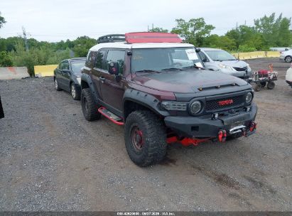 TOYOTA FJ CRUISER 2007 JTEBU11F770043147
