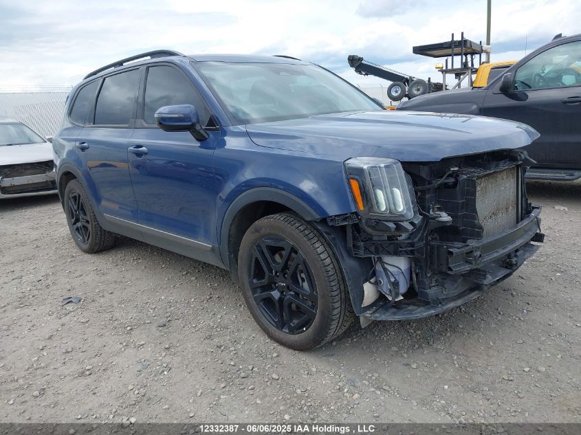 KIA TELLURIDE 2023 5XYP5DGC2PG343968