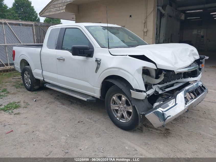 FORD F-150 2023 1FTEX1EB2PKD36023