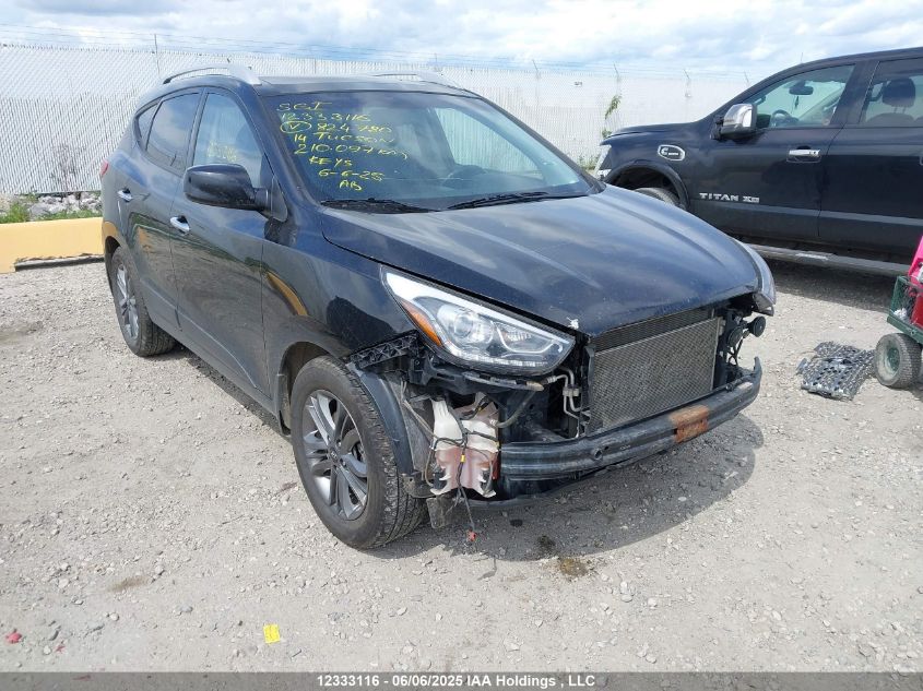 HYUNDAI TUCSON 2014 KM8JUCAG4EU824780