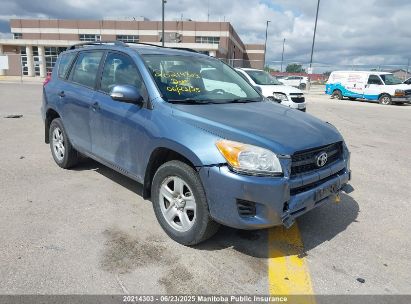 TOYOTA RAV4 2010 2T3BF4DV1AW027693