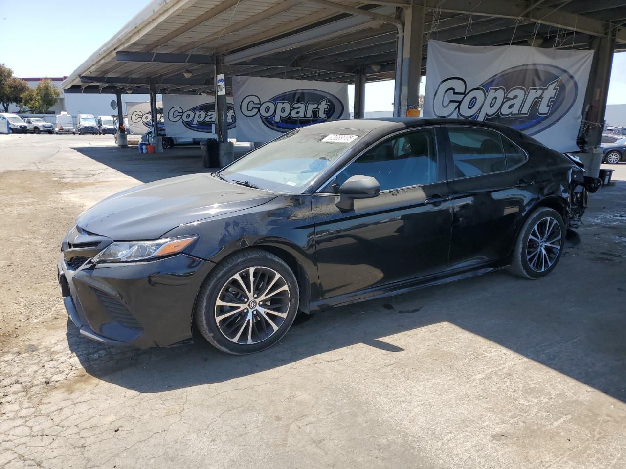 TOYOTA CAMRY 2019 4T1B11HK7KU265734