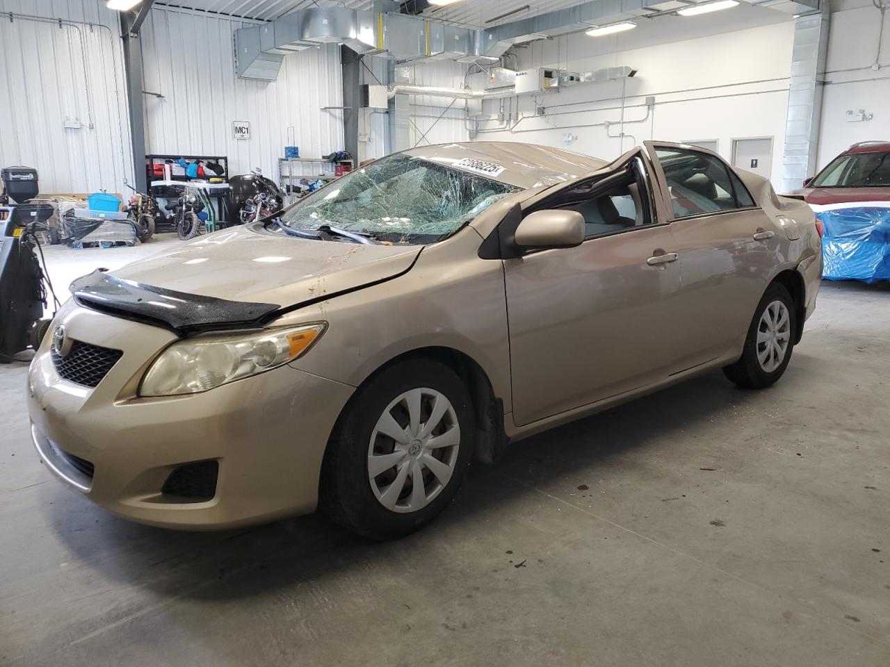 TOYOTA COROLLA 2010 2T1BU4EE8AC342716