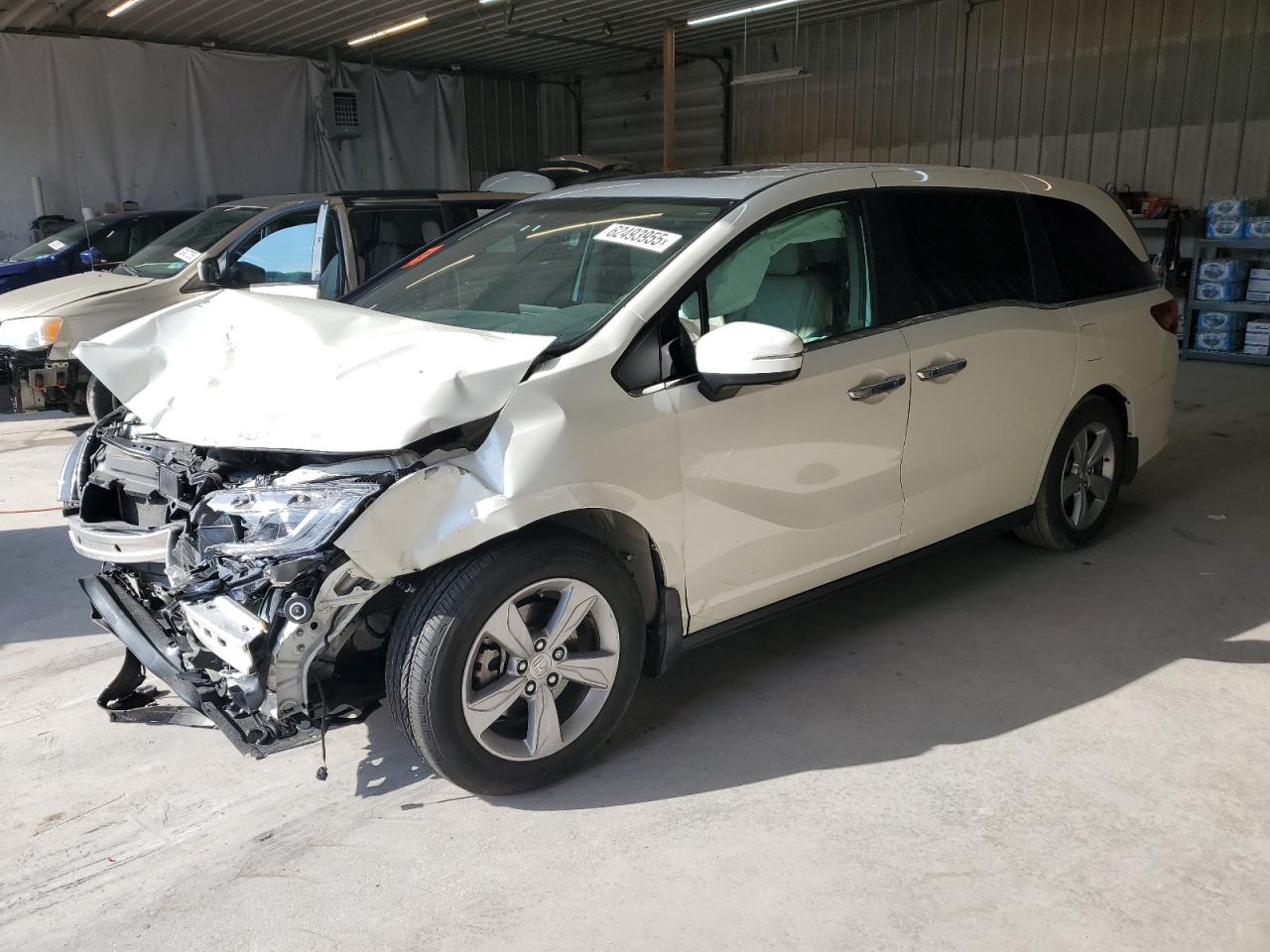 HONDA All Models 2019 5FNRL6H76KB016405