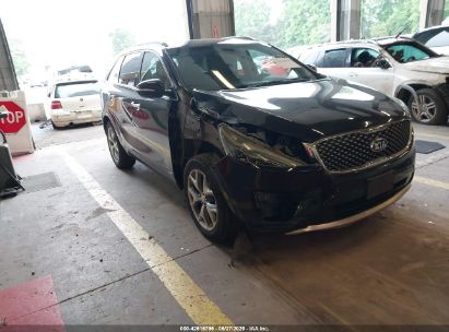KIA SORENTO 2017 5XYPKDA50HG263072