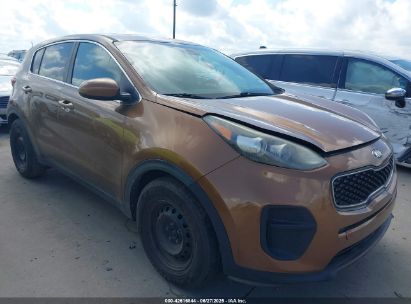 KIA SPORTAGE 2017 KNDPM3AC7H7142880