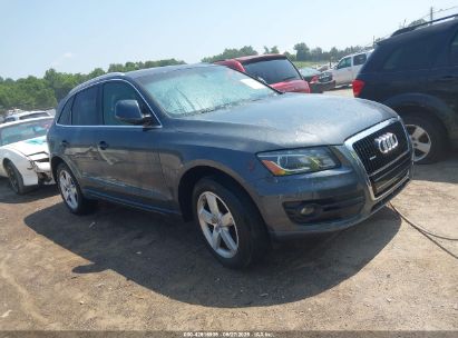 AUDI Q5 2010 WA1VKAFP4AA107276