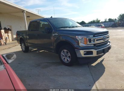FORD F-150 2019 1FTEW1C54KKD74782