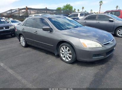 HONDA ACCORD 2006 1HGCM66816A037242
