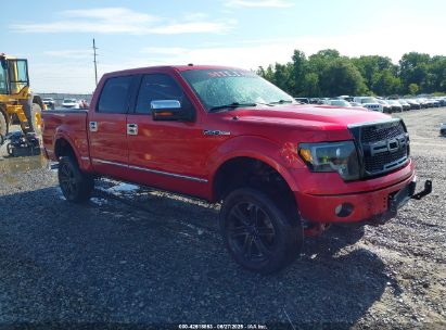 FORD F-150 2010 1FTFW1CV3AFB66887