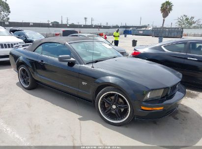 FORD MUSTANG 2005 1ZVFT85H655173365