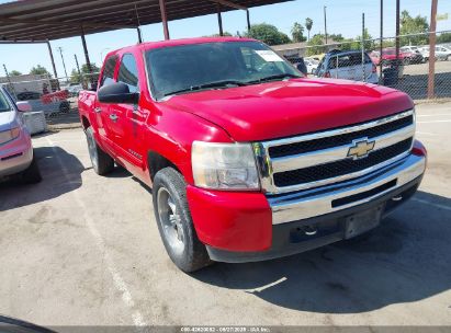 CHEVROLET SILVERADO 2010 3GCRCSE04AG140181