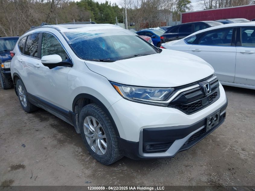 HONDA CR-V 2020 2HKRW2H84LH216243