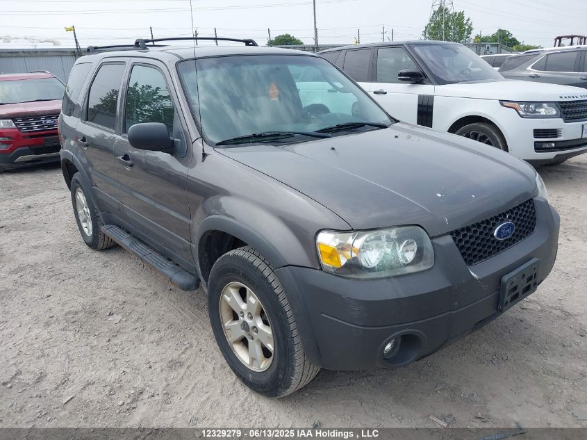 FORD ESCAPE 2006 1FMYU03126KC40333