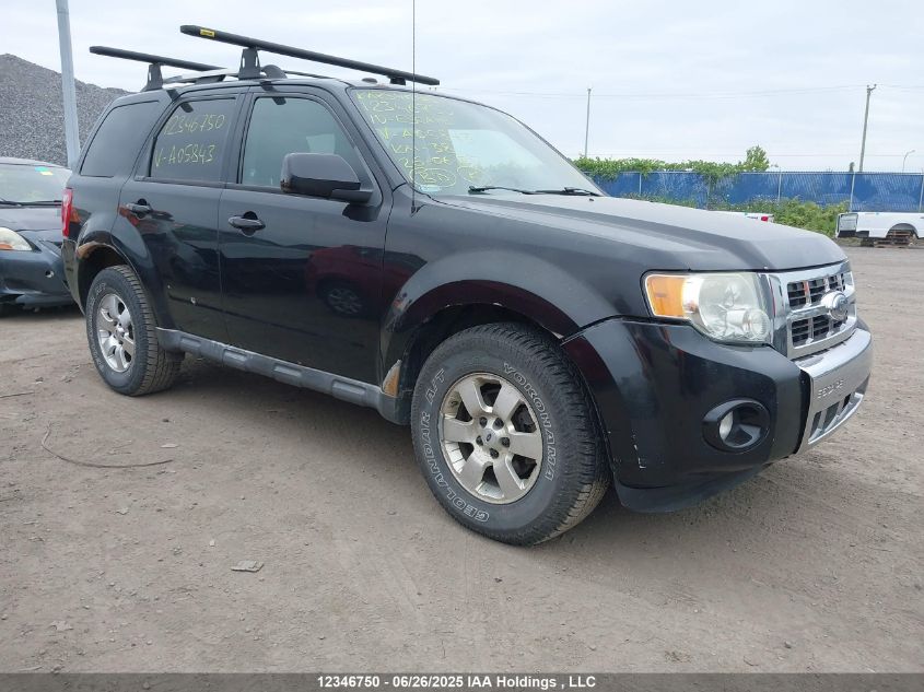 FORD ESCAPE 2010 1FMCU9EG0AKA05843
