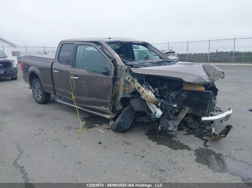 FORD F150 2017 1FTFW1EGXHKE30767