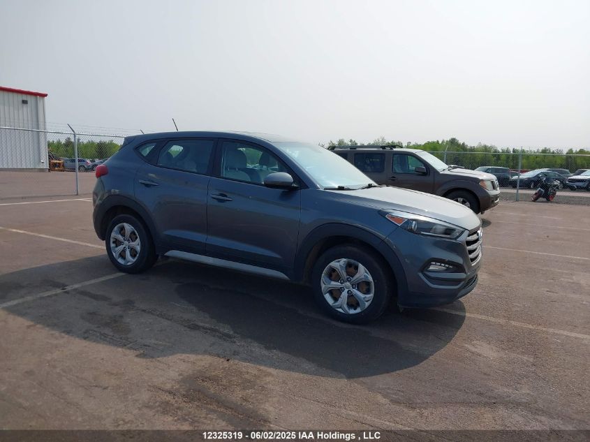 HYUNDAI TUCSON 2017 KM8J2CA4XHU516920