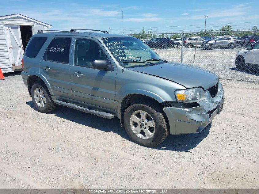 FORD ESCAPE 2006 1FMYU94196KB86435