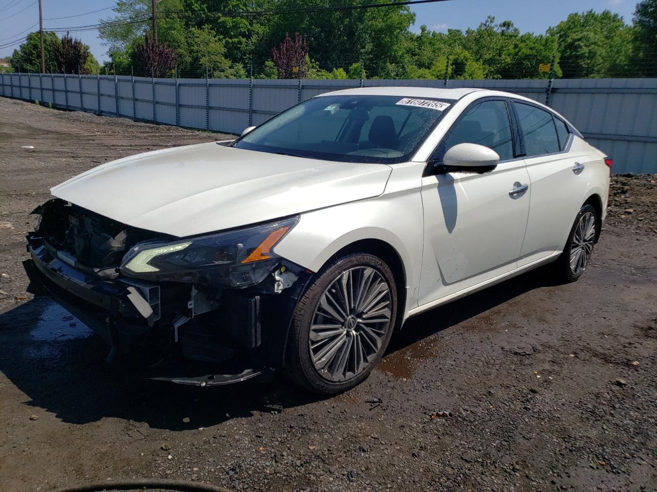 NISSAN ALTIMA 2023 1N4BL4EW8PN363203