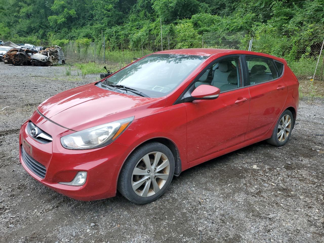 HYUNDAI ACCENT 2013 KMHCU5AEXDU066025