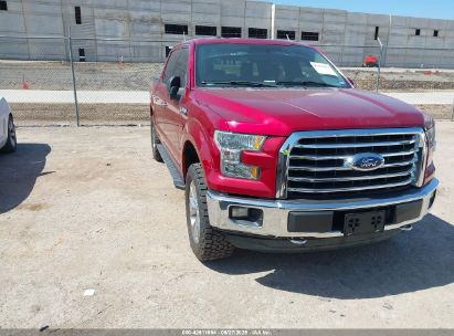FORD F-150 2015 1FTEW1EG7FKD57074
