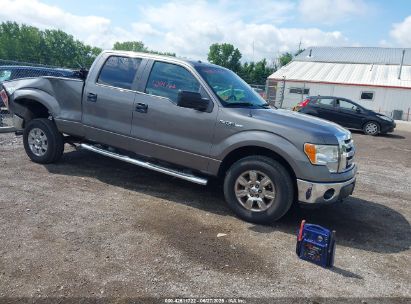 FORD F150 2011 1FTFW1EF1BFB18103
