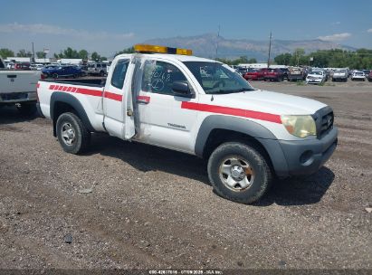 TOYOTA TACOMA 2006 5TETU62N76Z282949