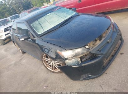 SCION TC 2012 JTKJF5C79C3042882