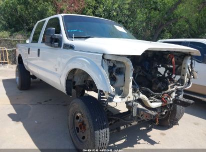 FORD F-250 2013 1FT7W2BT3DEA23734