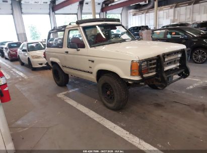 FORD BRONCO II 1989 1FMBU14T0KUA00613