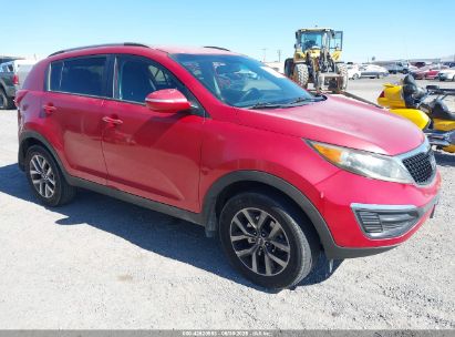 KIA SPORTAGE 2014 KNDPB3AC8E7581667