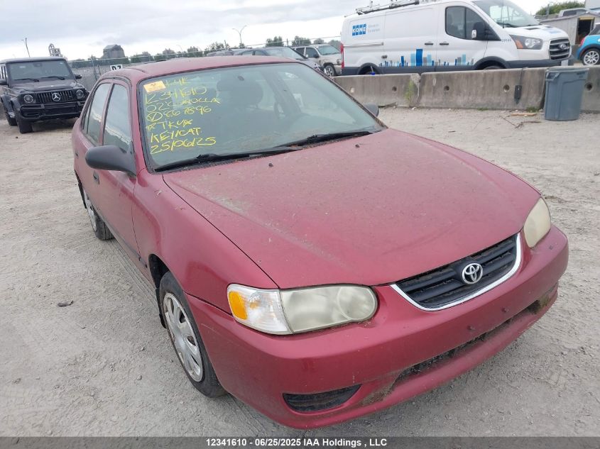 TOYOTA COROLLA 2002 2T1BR12E12C867896