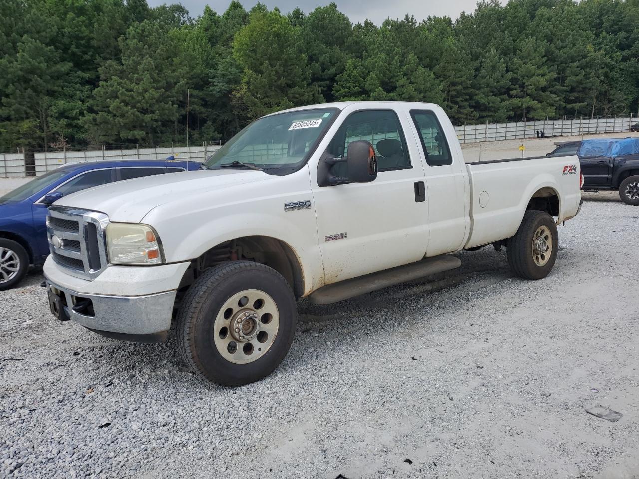 FORD F350 2005 1FTWX31P65EB64740