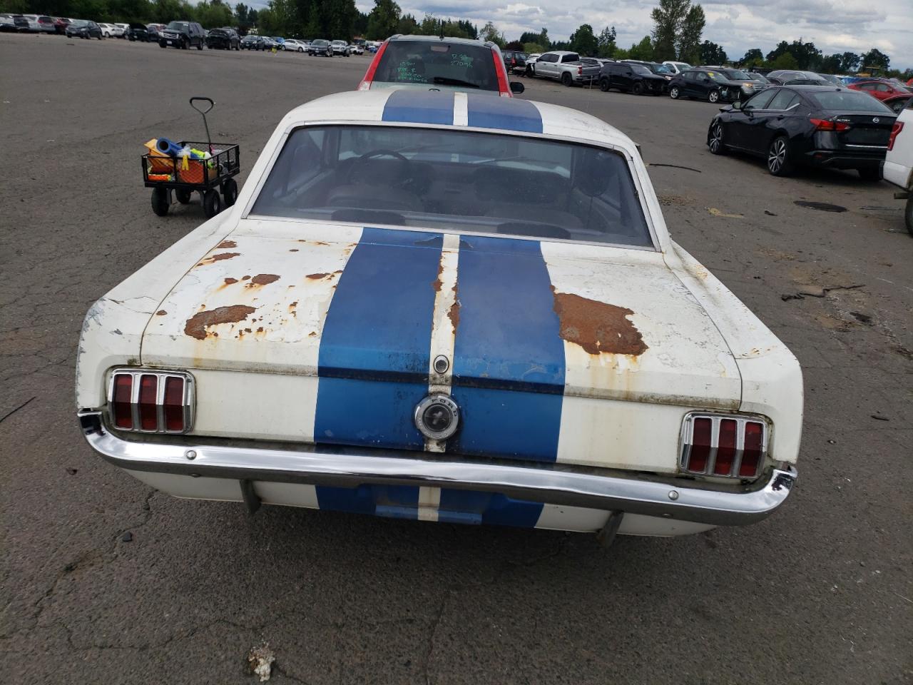 FORD ALL Models 1965 VIN 5R07T231105 фото 6