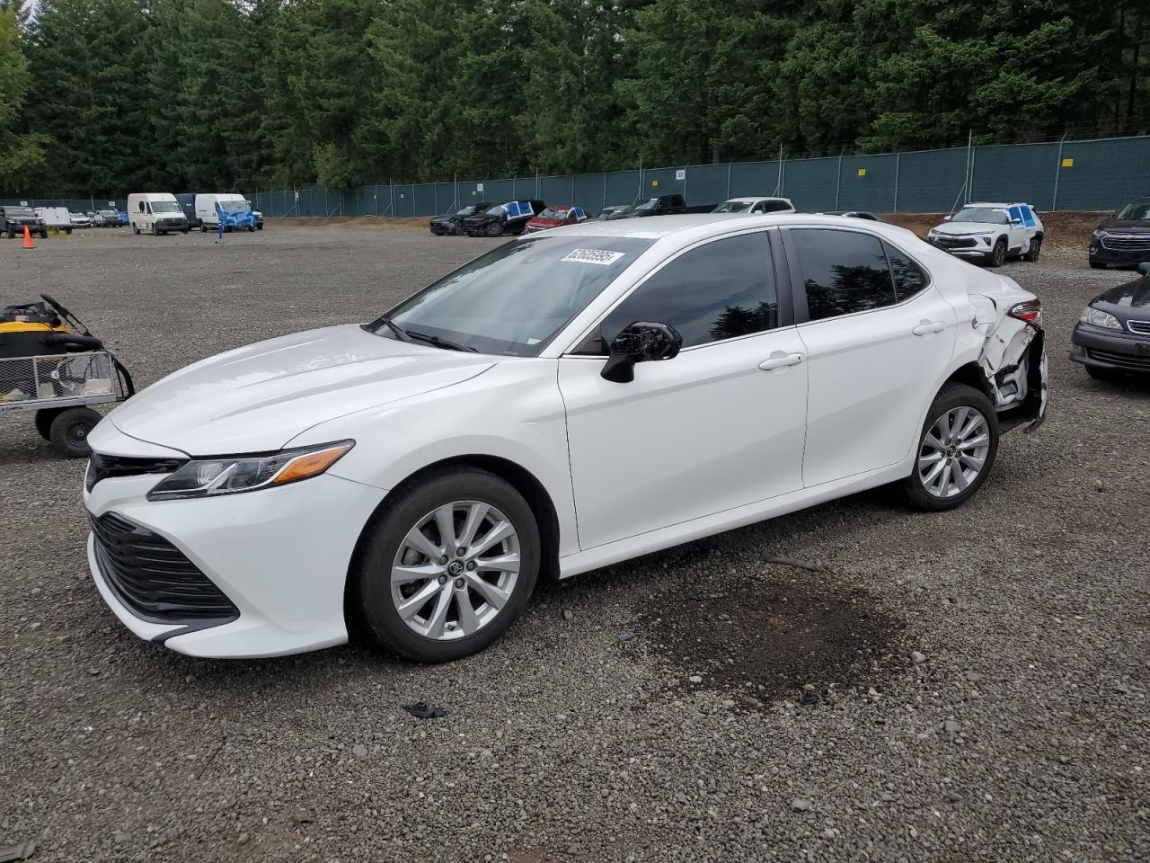 TOYOTA CAMRY 2019 4T1B11HK1KU726832