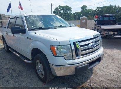 FORD F-150 2010 1FTEW1C82AFB53280