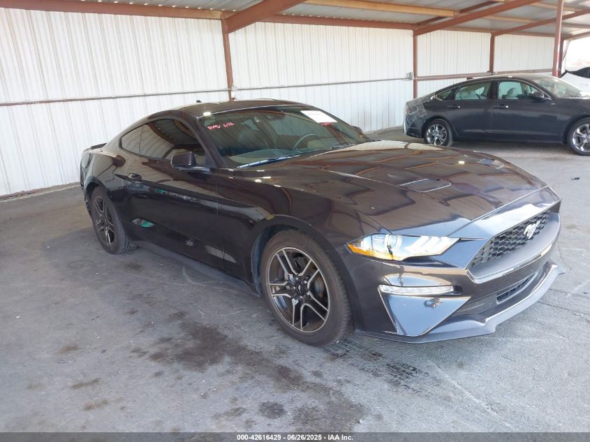 FORD MUSTANG 2023 1FA6P8TH4P5101051