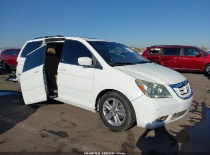 HONDA ODYSSEY 2009 5FNRL38989B051943