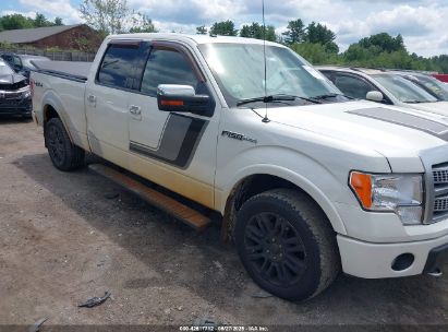 FORD F-150 2010 1FTFW1EVXAFD58384