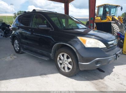 HONDA CR-V 2007 JHLRE38717C020281