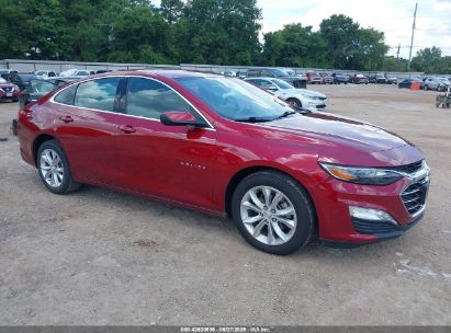 CHEVROLET MALIBU 2019 1G1ZD5ST8KF210337