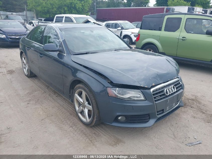 AUDI A4 2010 WAUFFCFL6AN052245