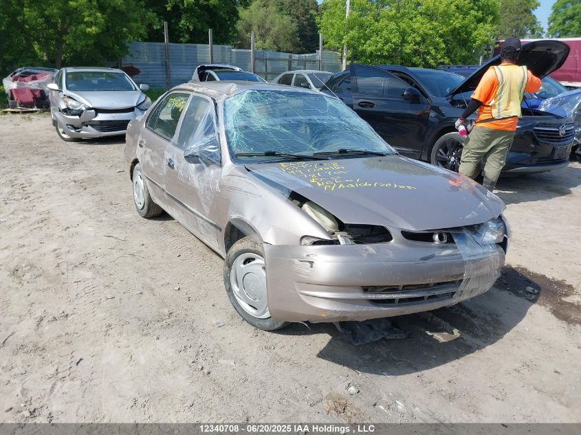TOYOTA COROLLA 1999 2T1BR12E7XC781905